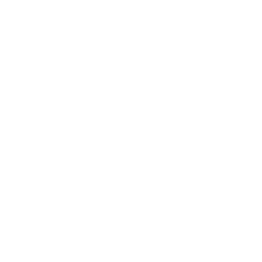 Black Raven logo